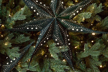 Similar image 21517865