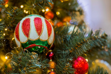 Similar image 21517870