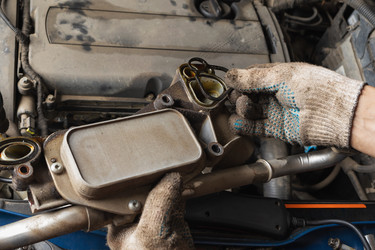 Similar image 21515824