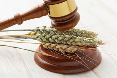 Similar image 21515835