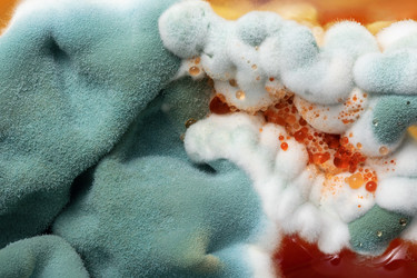 Similar image 21515837