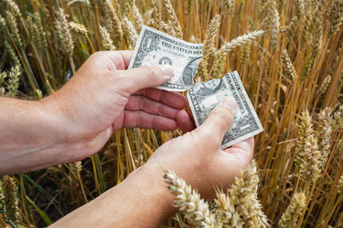 Similar image 21516138