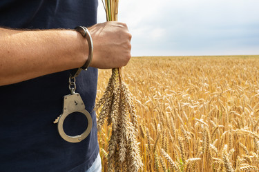 Similar image 21516139