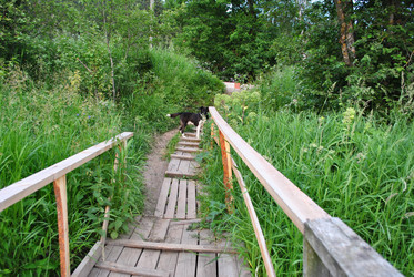 Similar image 21515772