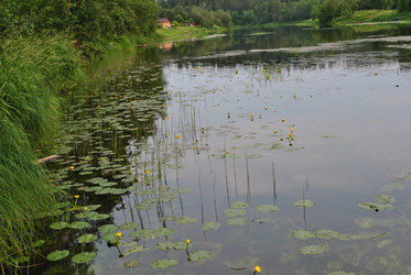 Similar image 21515773