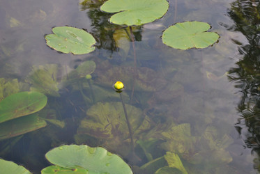 Similar image 21515776