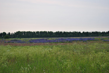 Similar image 21515779