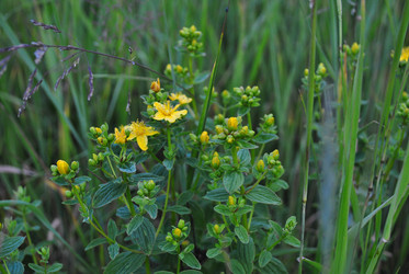 Similar image 21515780