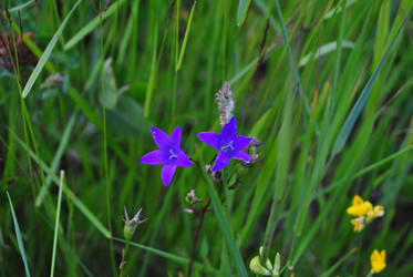 Similar image 21515781