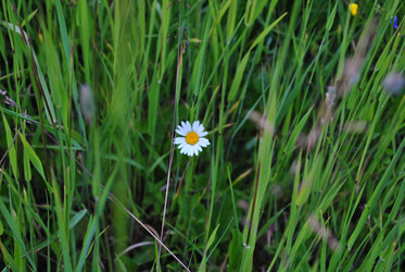 Similar image 21515782