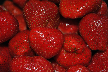 Similar image 21515785