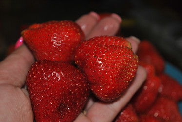 Similar image 21515786