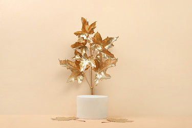 Similar image 21515787