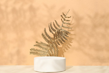 Similar image 21515790