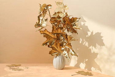 Similar image 21515791