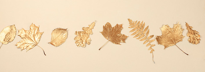 Similar image 21515792