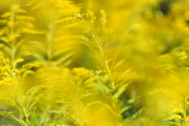 Similar image 21516687