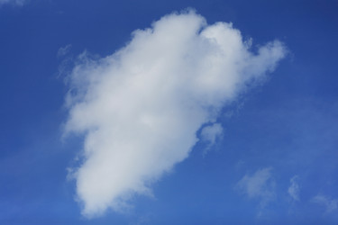 Similar image 21521785