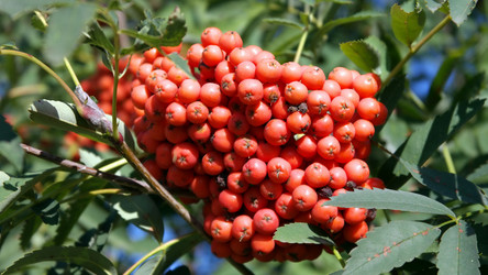 Similar image 21521804