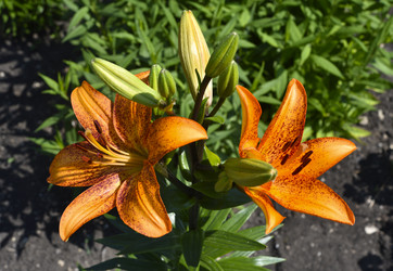 Similar image 21516567