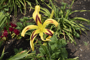 Similar image 21516574