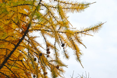 Similar image 21516695