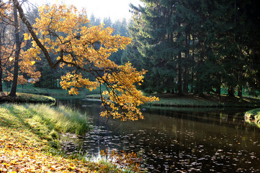 Similar image 21516697