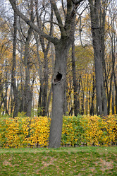 Similar image 21516703