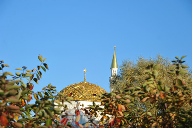 Similar image 21516708