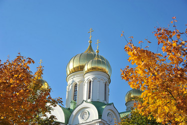 Similar image 21516712