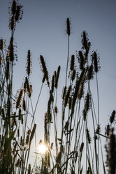 Similar image 21516577