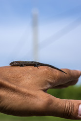 Similar image 21516579