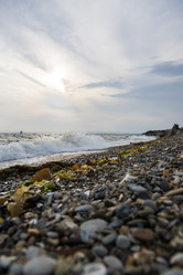 Similar image 21516581