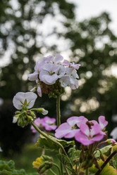 Similar image 21516584