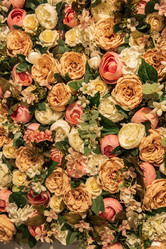 Similar image 21516586