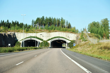 Similar image 21516719