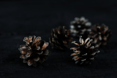 Similar image 21516724