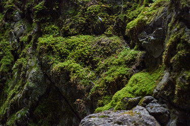 Similar image 21516597