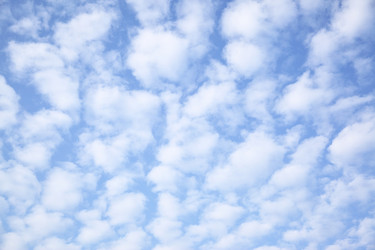 Similar image 21518114