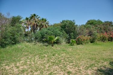 Similar image 21516607