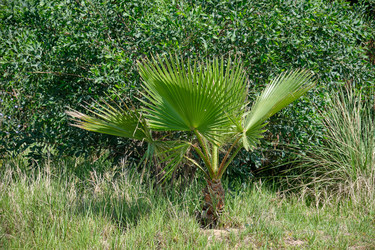 Similar image 21516608