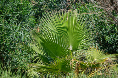 Similar image 21516610