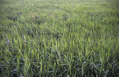 Similar image 21516614