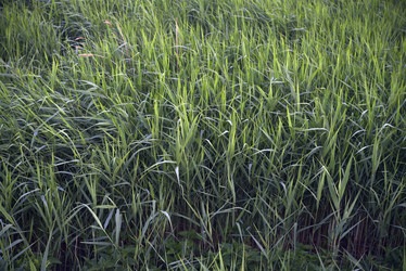 Similar image 21516615