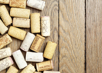 Similar image 21517197