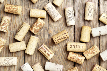 Similar image 21517200