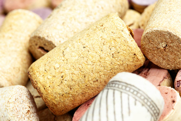 Similar image 21517237