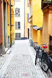 Similar image 21517240