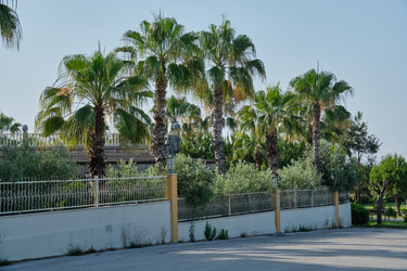 Similar image 21516625