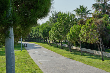 Similar image 21517894